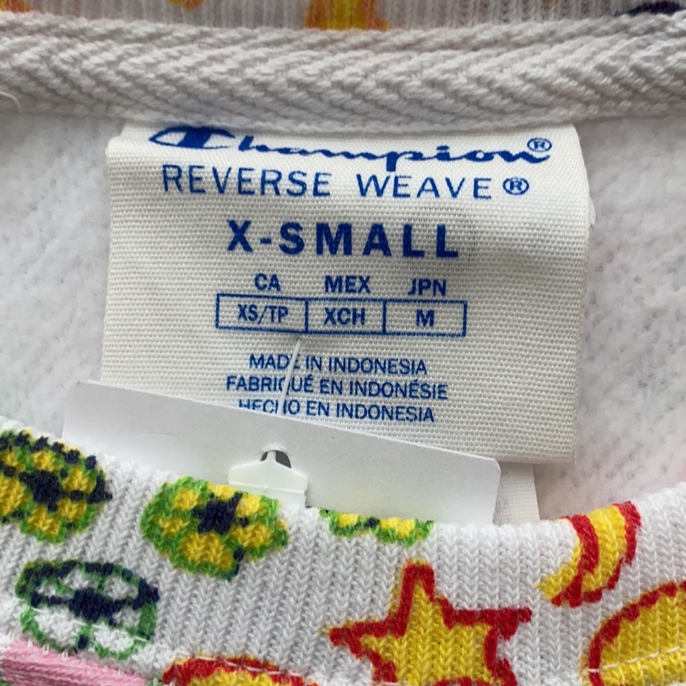 Champion X Susan Alexandra UO Exclusive Crewneck - Picture 5 of 13